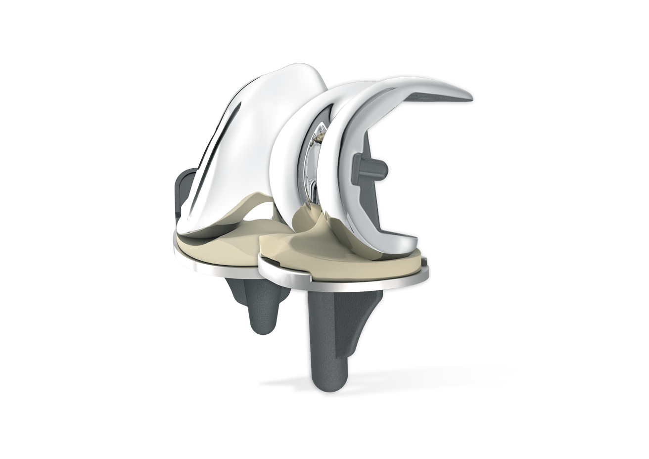 WE-Motion knee joint system